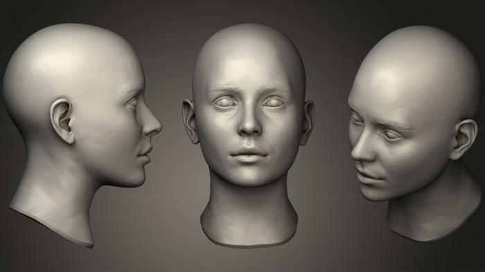 Анатомия скелеты и черепа (Женская головка 3, ANTM_0500) 3D модель для ЧПУ станка